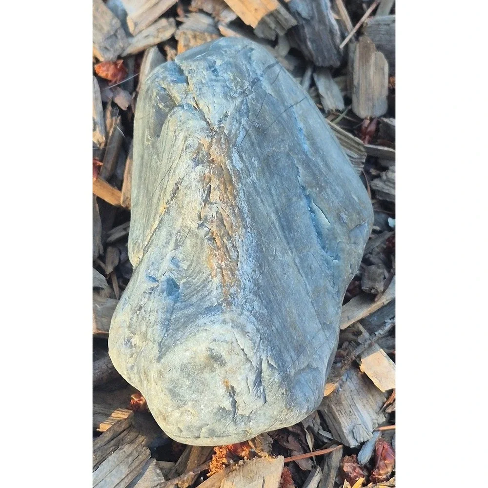 PNW Wishing Stone • Quartz Vein Beach Pebble • Cleansed PNW Altar Stone & Amulet